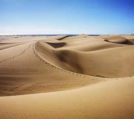 Lejlighed Sun Colorado Golf Maspalomas (Gran Canaria)